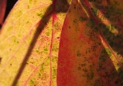 人头太多的句子(精选25句)