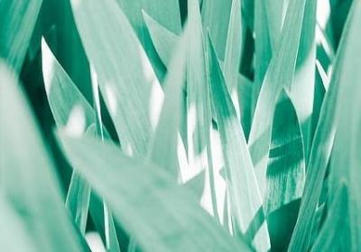 人各有志句子(通用10句)