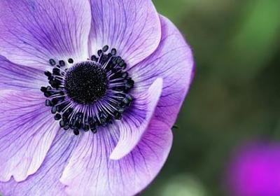 人心换人心句子(优选20句)