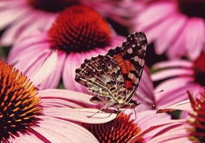 人没了的句子(必备20句)