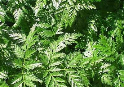 人活得窝囊的句子(合集60句)