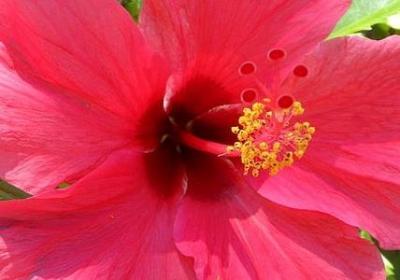 人生善良如初的句子(热门20句)