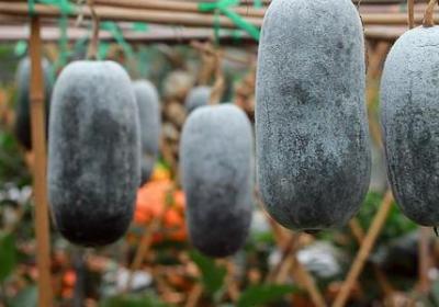 人生体会的句子是(通用69句)