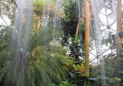 人生匆匆的句子(实用60句)