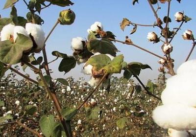 人生低谷还笑的句子(热门40句)