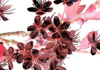 人生感悟语录句子唯美(优选50句)