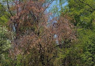 人生如茶的句子(汇总60句)