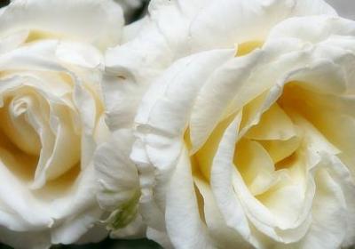 人生宣言句子(必备80句)