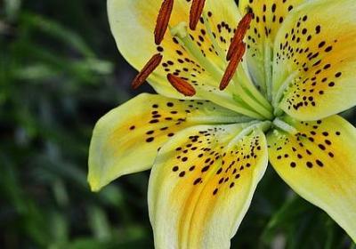 人生感悟的句子2022(合集60句)