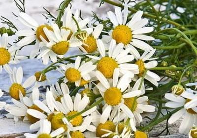 人生感情的句子伤感(通用70句)