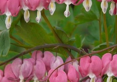 人生毁了的句子(实用69句)