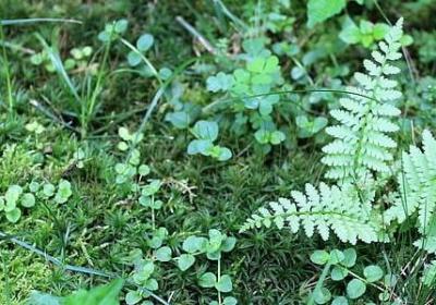 人生无耐的句子(80句)