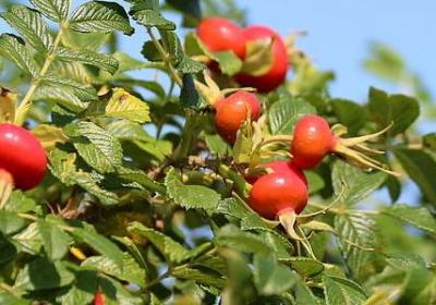 人生难以割舍的句子(共50句)