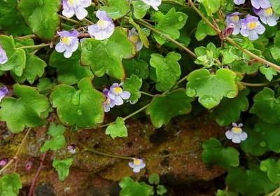 人的朋友圈很重要句子(热门5句)