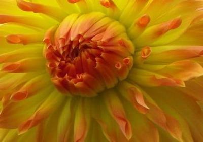 人的区别句子(通用40句)