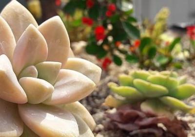 什么变成了什么补充句子(必备50句)