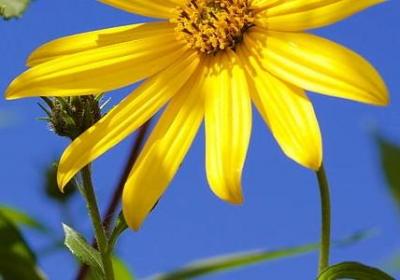 什么什么就什么造句子(30句)