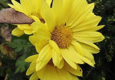 人在景中的句子(实用60句)