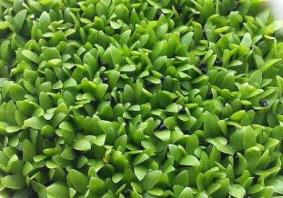 人在哪的句子(推荐30句)