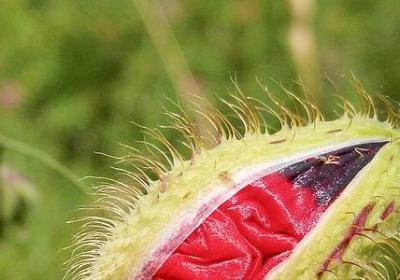 人物喜怒的句子(实用61句)