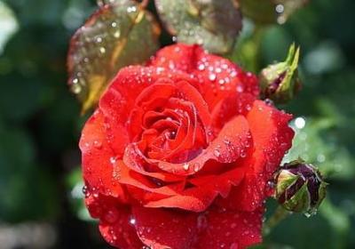 人物喜怒的句子短句(优选22句)