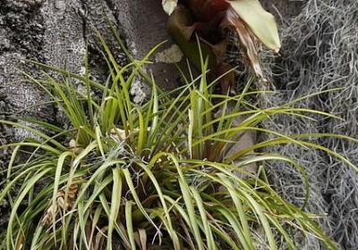 人生只有独来独往的句子(推荐80句)