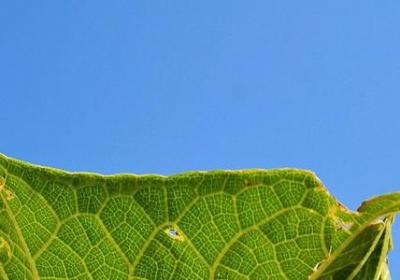 人生亲情感悟的句子(必备50句)