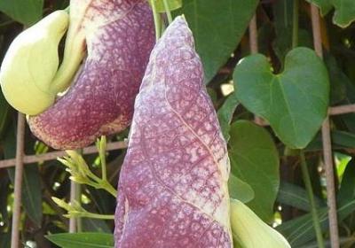 人生感情美好的句子(合集80句)