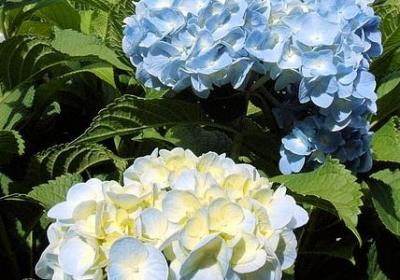 人生感悟语录深度句子(合集80句)