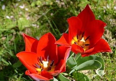 人生小哲理优美句子(推荐40句)