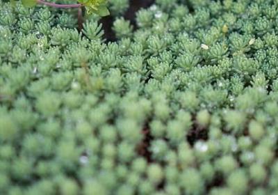 人生感悟经典句子书(合集50句)