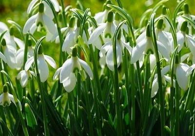 人生淡然中庸的句子(实用69句)