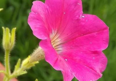 人生格言有哲理句子(优选70句)