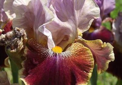 人生的悲哀句子(热门40句)