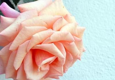 人生这条路的句子(53句)