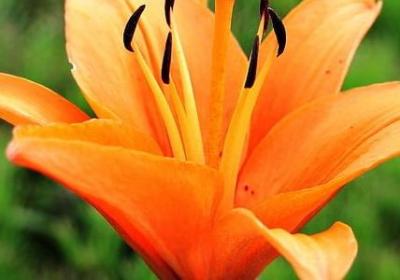 人生领悟句子(实用70句) 人生领悟句子(实用70句)