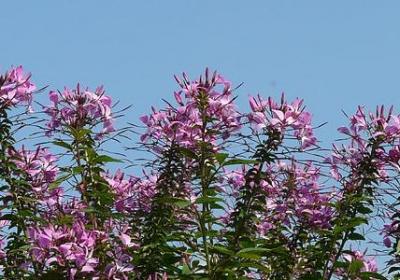 人生选择题的句子(推荐80句) 人生选择题的句子(推荐80句)