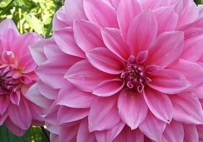 人生过简单的句子(合集50句) 人生过简单的句子(合集50句)