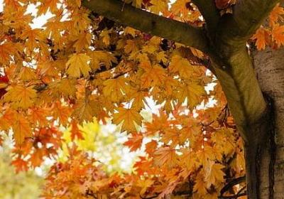 人生真理经典句子(推荐40句) 人生真理经典句子(推荐40句)