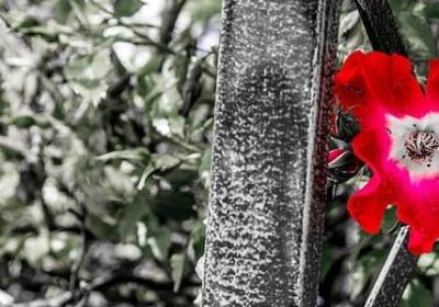 人类最恐怖的句子(精选70句)