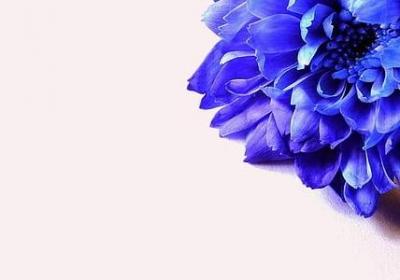 人要行善的句子(50句)