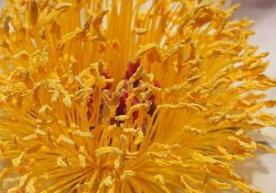 人需要自省自律的句子(实用50句)