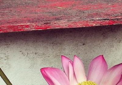 什么 什么也什么句子(汇总40句)