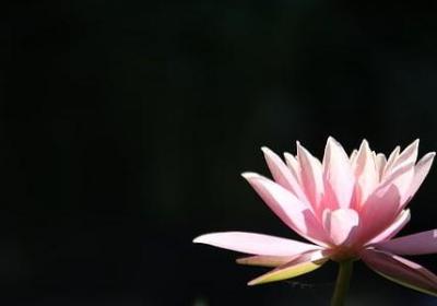 什么为补充句子(实用62句)