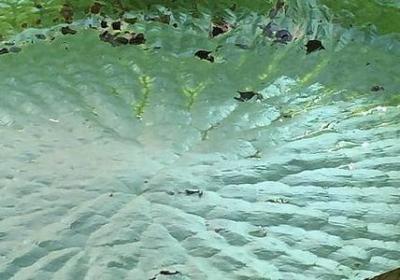 什么句子可以感化老公(合集30句)