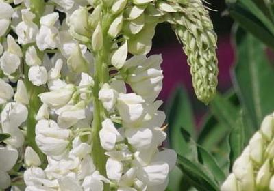 什么句子是排比句(汇总10句)