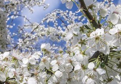 人在开头句子(热门75句)