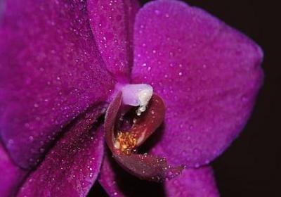 人在社会的感悟句子(热门50句)