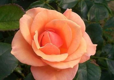 人后不说人前话的句子(汇总30句)