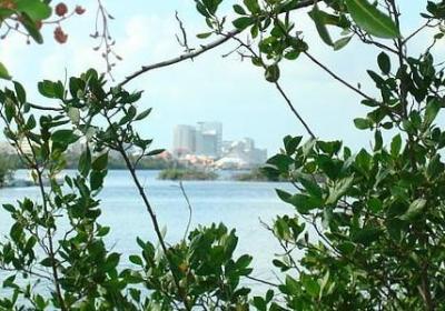 人在广东的辛酸句子(合集50句)